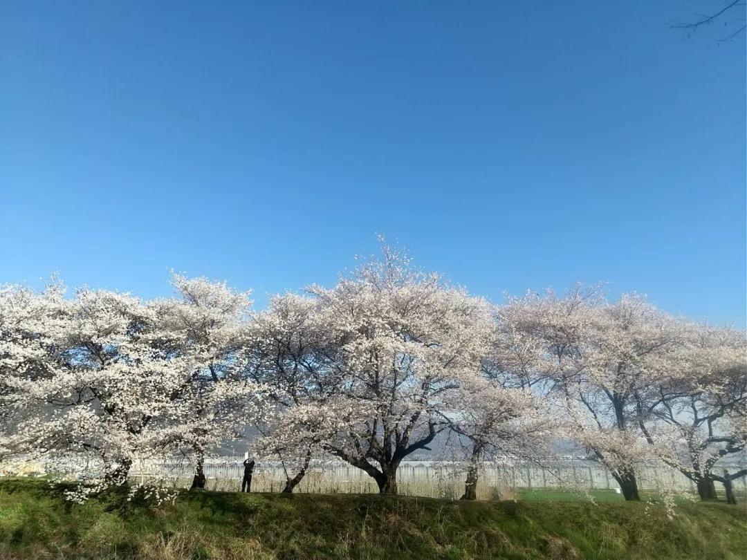 Appartamento こだまやリトリート 女性専用 Women-Only Matsumoto Esterno foto